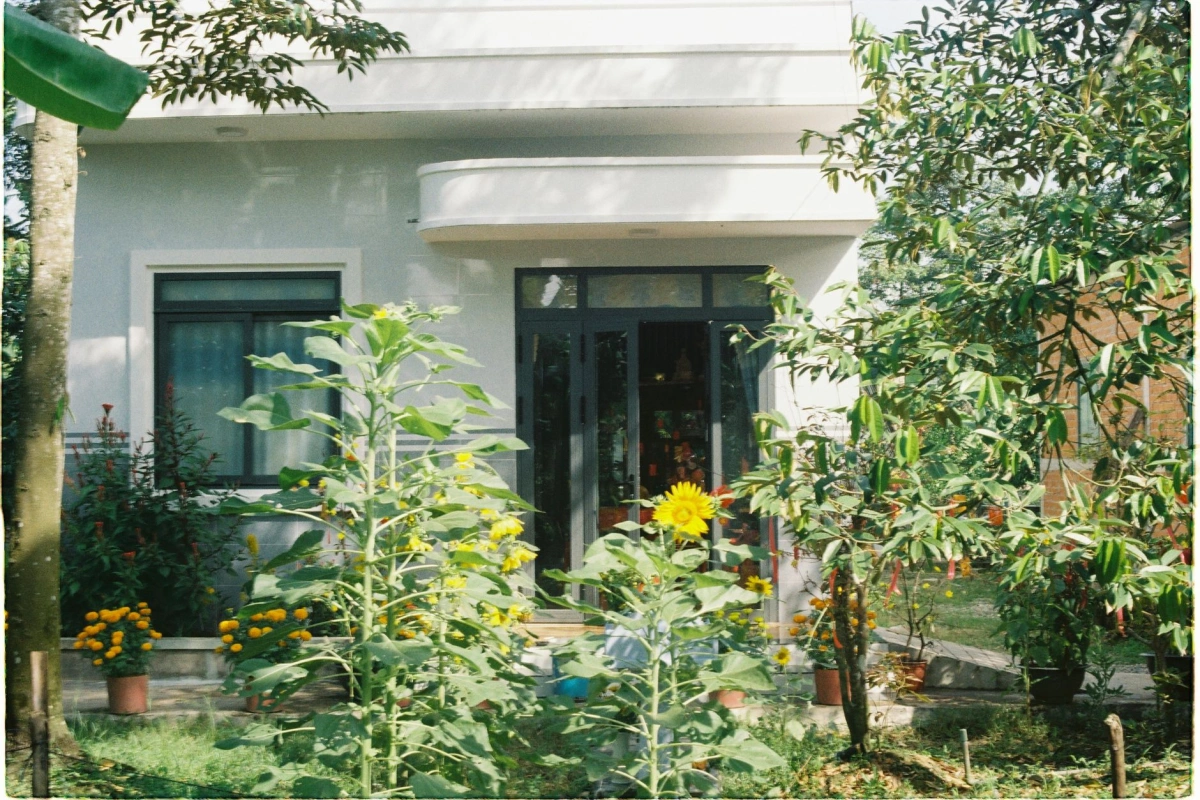 About MyHouse